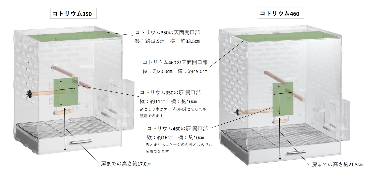 ジェックス コトリウム460-II 46.5×44.5×58.2cm とまり木・エサ入れ