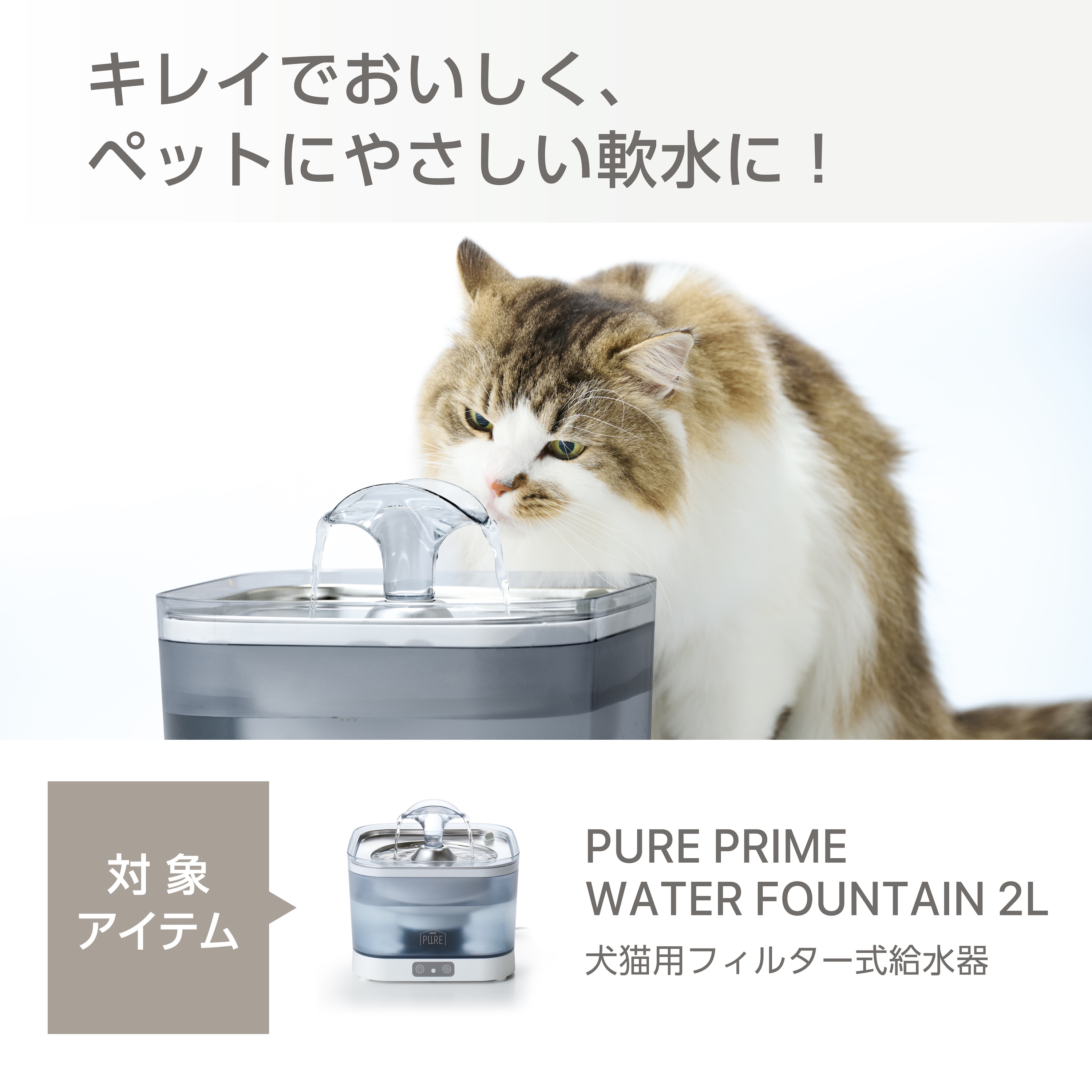 FED UP　専用出品 未来工業 SW1-22J 露出 スイッチボックス 1ケ用 1方出 ベージュ