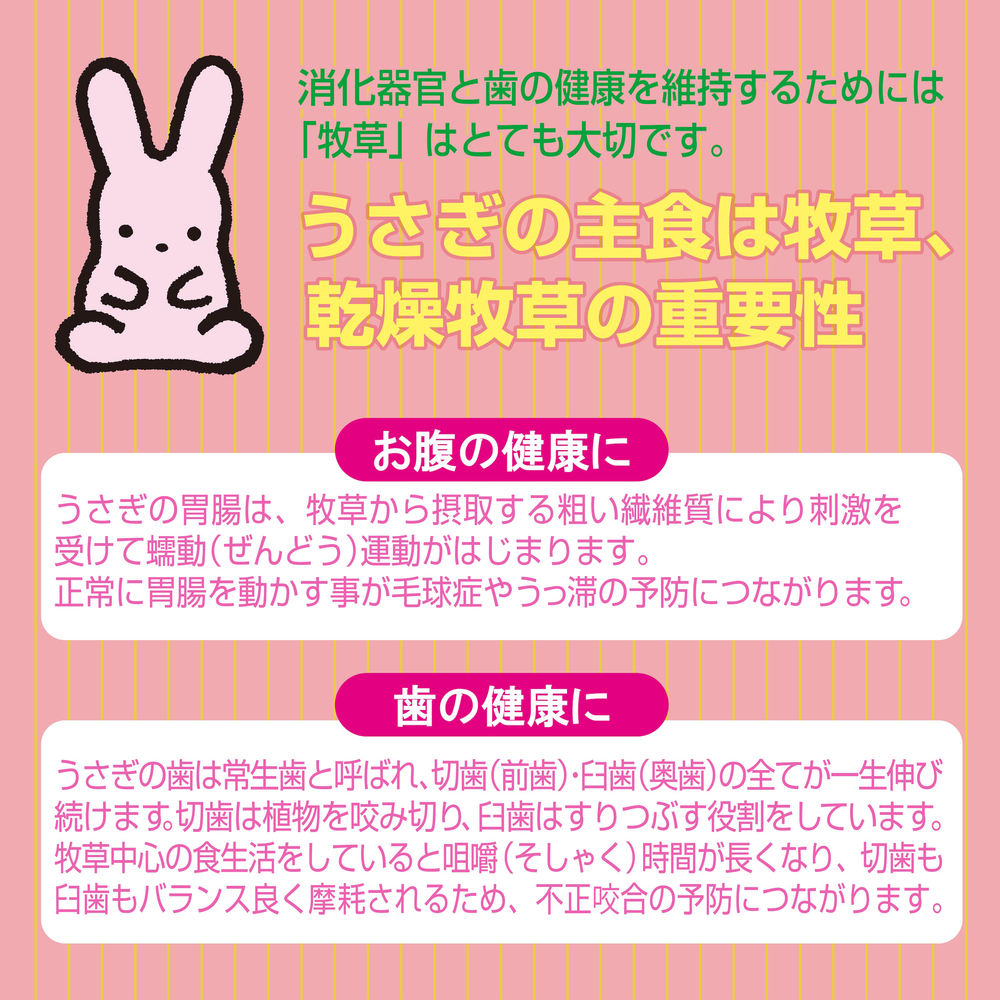 うさぎの健康食 にんじんプラス 300g | ジェックス株式会社