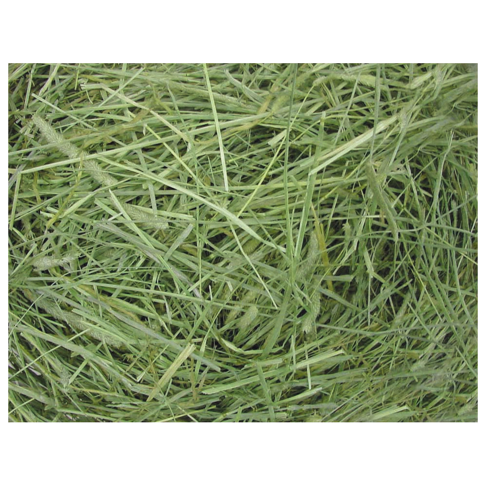 小動物の牧草 健康チモシー お徳用1.8kgの画像-2