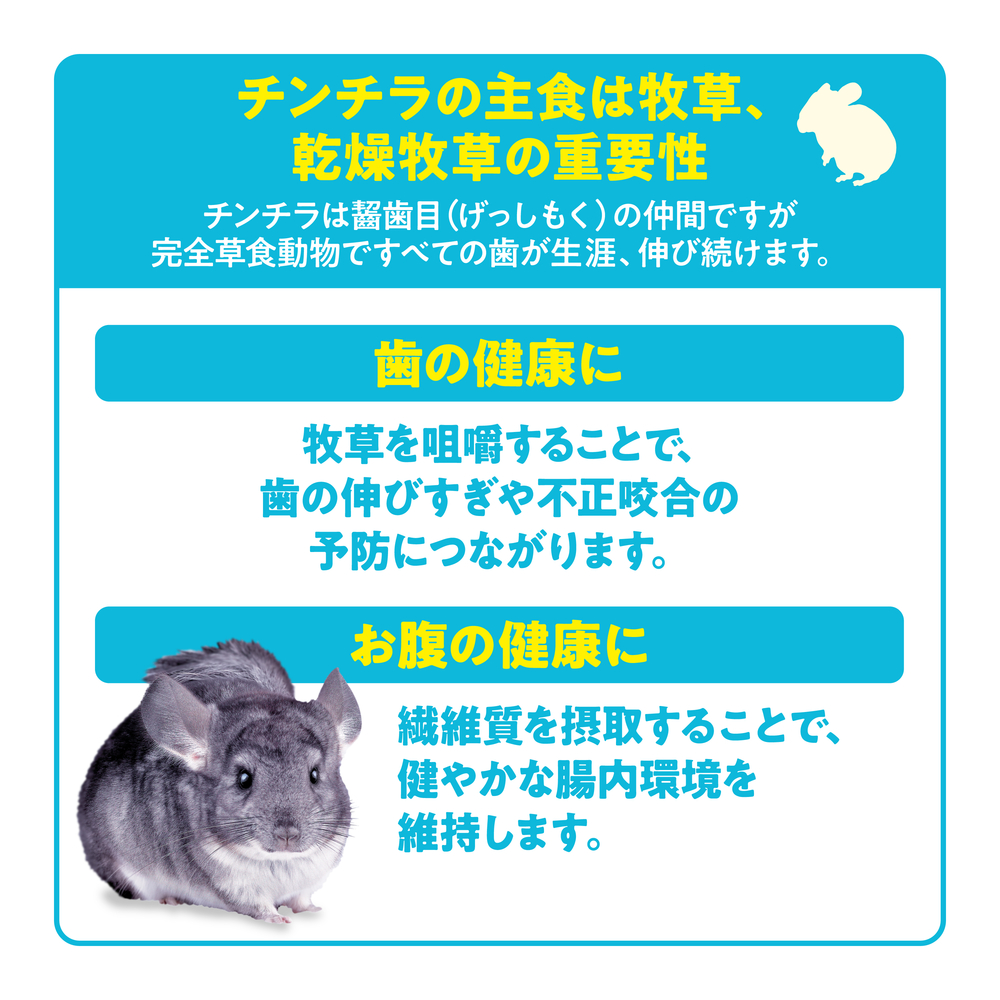 チンチラプレミアムフード シンバイオティクスブレンド 600g