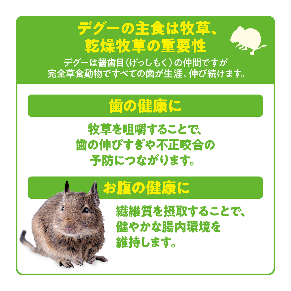 デグープレミアムフード シンバイオティクスブレンド 500g