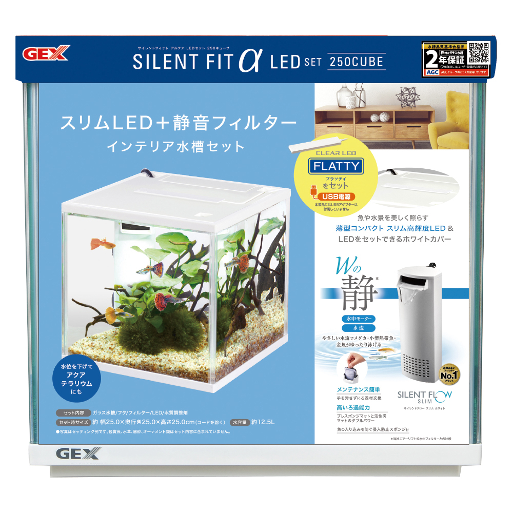 熱帯魚セット山口県引取限定 - 魚用品/水草