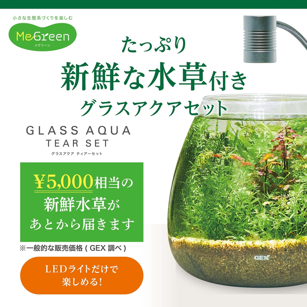 MeGreen 新鮮な水草付き グラスアクアティアーセット | ジェックス株式会社