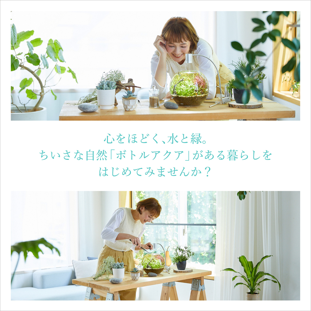 MeGreen 新鮮な水草付き グラスアクアスフィアセット | ジェックス株式会社