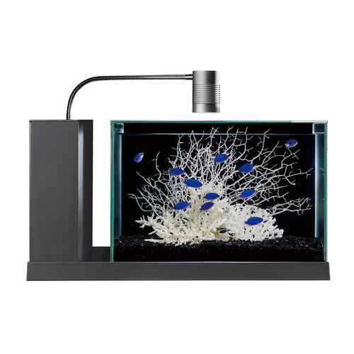 【数量限定】GEX aquarista AQUA-U WIDE 2.0 Grayの画像