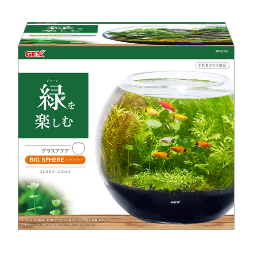 グラスアクア ビッグスフィアの画像