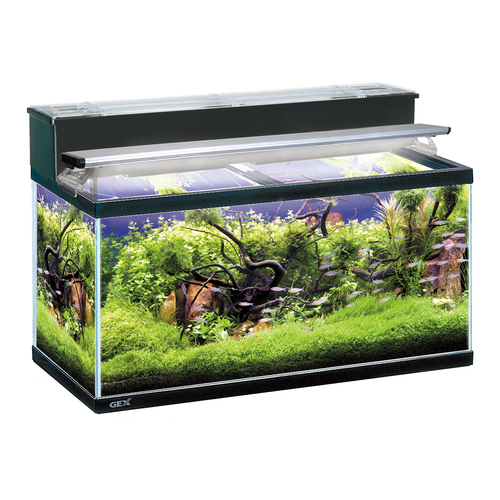 マリーナ900 LEDセット 水槽2年保証の画像
