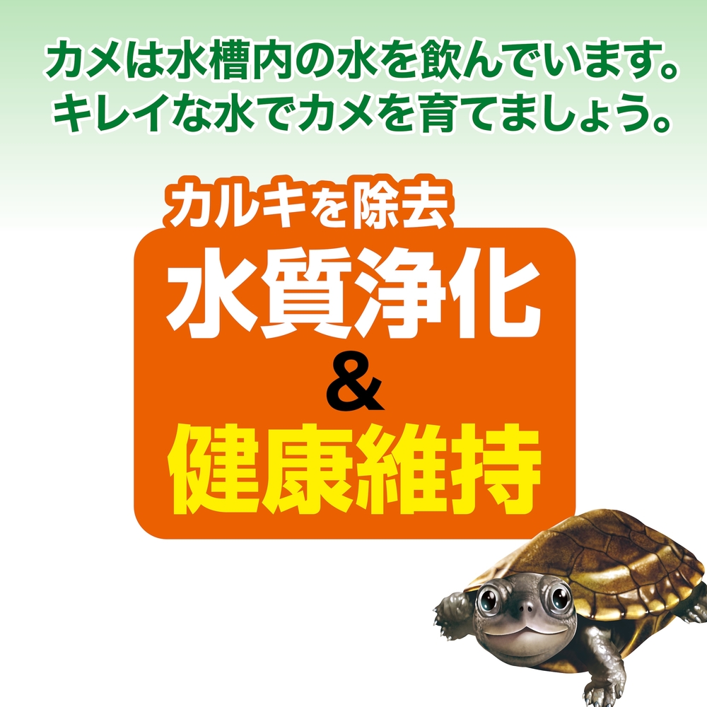 カメ元気 水槽のニオイ・雑菌をおさえる水 300cc | ジェックス株式会社