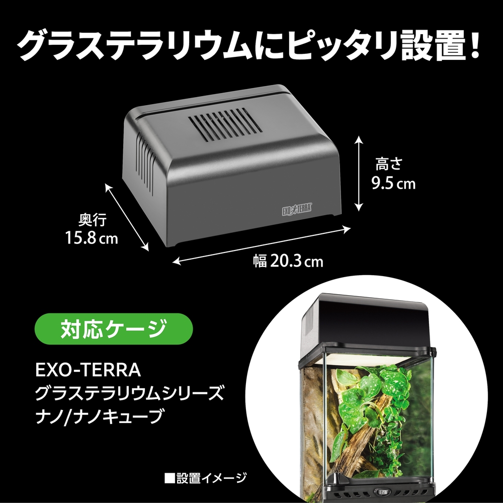 エキゾテラ　グラステラリウム　ナノキューブ、コンパクトトップ　ナノ付 グラステラリウムナノキューブ EXOTERRA GEX ガラスケージ 販売 通販